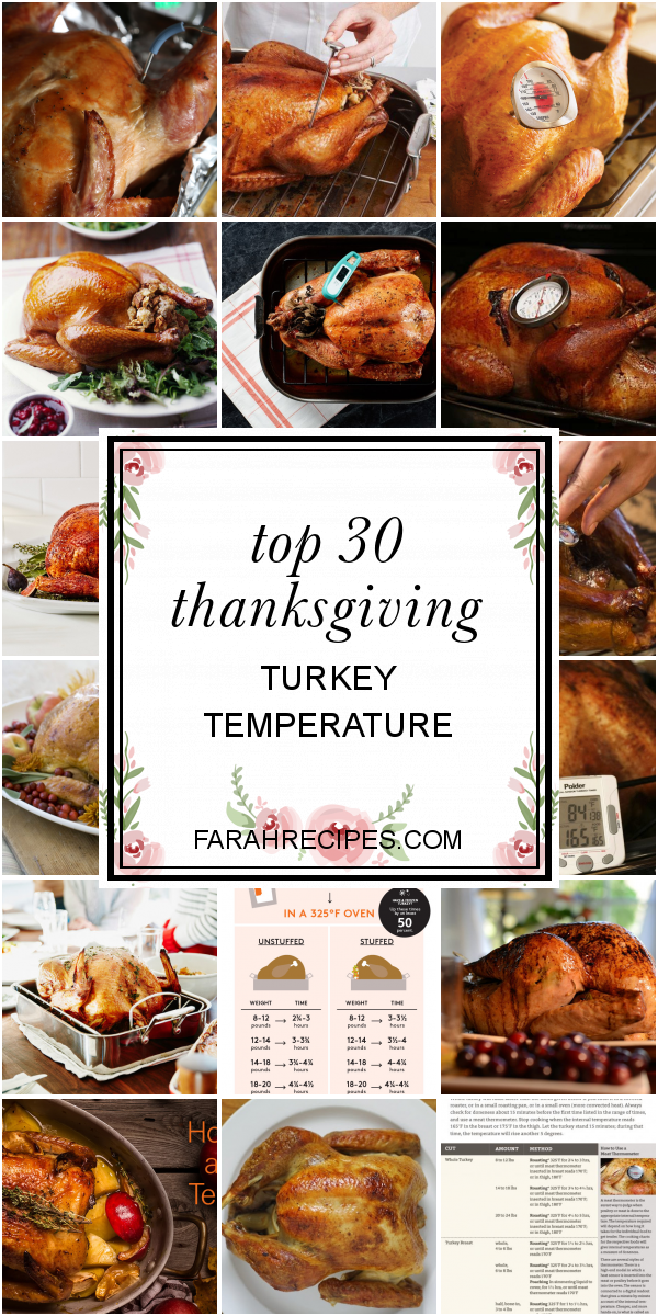 Top 30 Thanksgiving Turkey Temperature Most Popular Ideas of All Time
